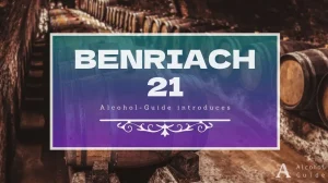 ベンリアック 21年口コミ・評価・特徴