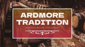 アードモア トラディショナル口コミ・評価・特徴