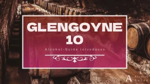 グレンゴイン 10年口コミ・評価・特徴