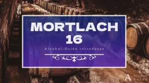 モートラック 16年口コミ・評価・特徴