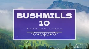 ブッシュミルズ 10年口コミ・評価・特徴