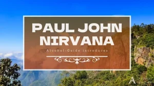 ポール・ジョン ニルヴァーナ口コミ・評価・特徴