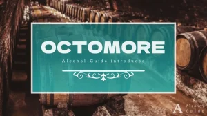 オクトモア口コミ・評価・特徴